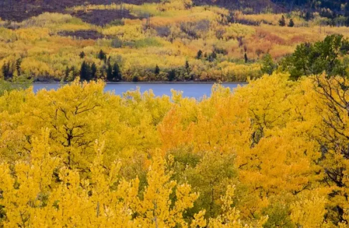 Framed Print : USA, North America, Montana