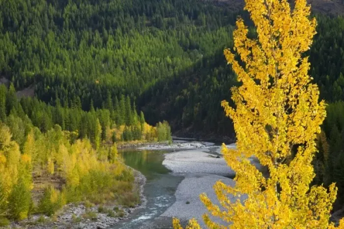 Framed Print : USA, North America, Montana