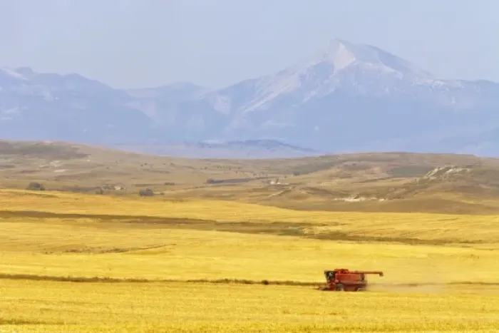 Framed Print : USA, North America, Montana