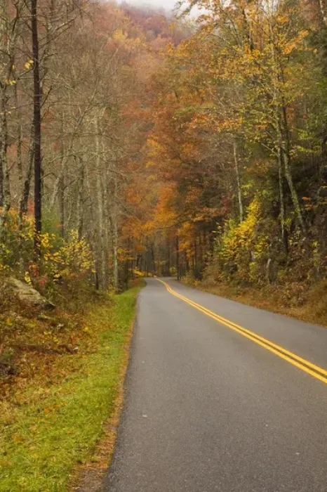 Framed Print : USA, North America, North Carolina, Great Smoky Mountain NP. Road through the Smokies Framed Print : USA, North America, North Carolina, Great Smoky Mountain NP. Road through the Smokies