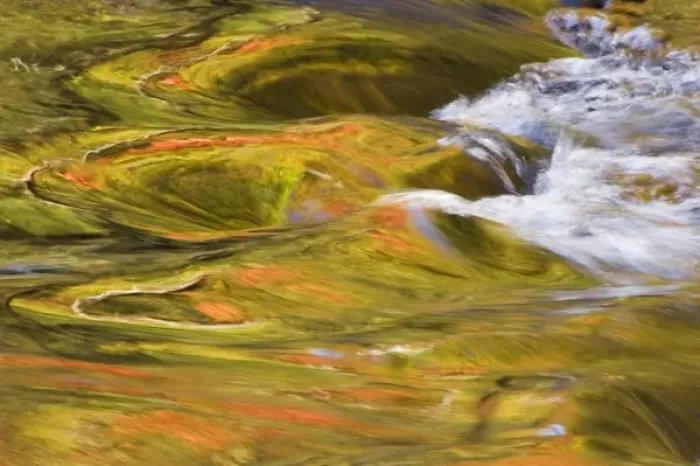 Framed Print : USA, North America, Tennessee