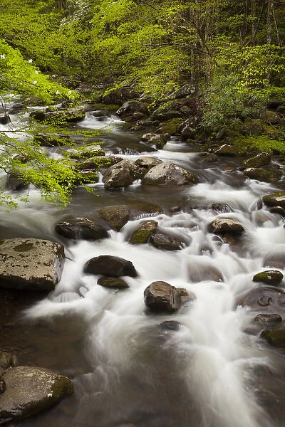 USA; North America; Tennessee; Great Smoky Mountain NP; Little River cascading over