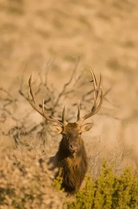 Framed Print : USA, North America, Texas Framed Print : USA, North America, Texas