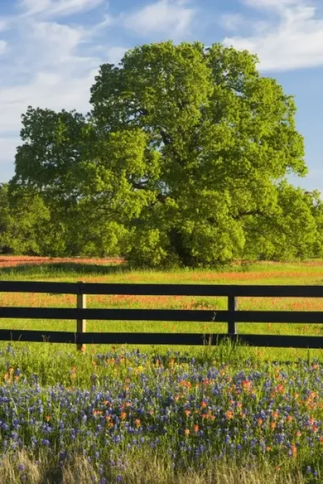 Framed Print : USA, North America, Texas Framed Print : USA, North America, Texas
