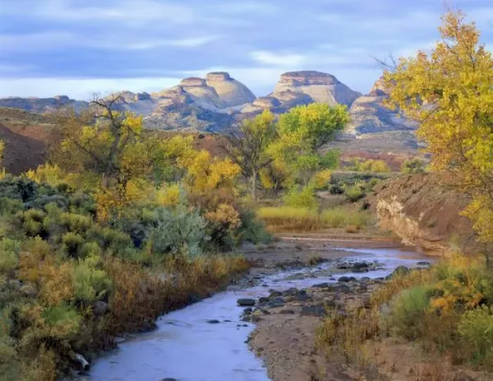 Framed Print : USA, North America, Utah