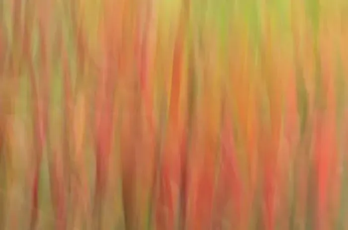 Framed Print : USA, North America, Vermont