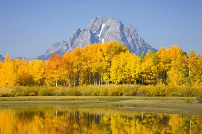 Framed Print : USA, North America, Wyoming Framed Print : USA, North America, Wyoming