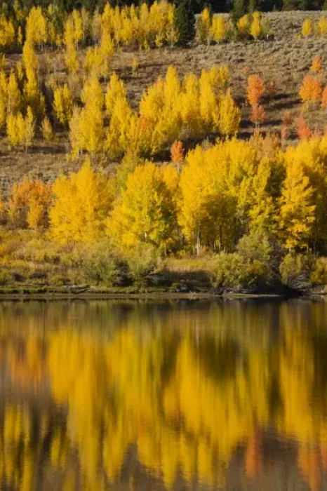 Framed Print : USA, North America, Wyoming