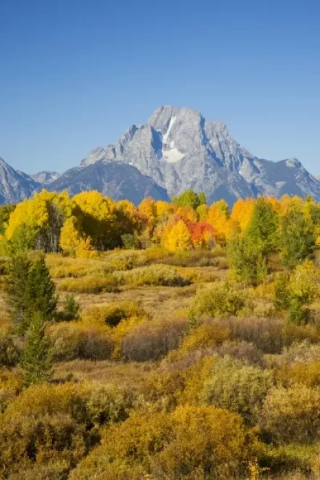Framed Print : USA, North America, Wyoming Framed Print : USA, North America, Wyoming