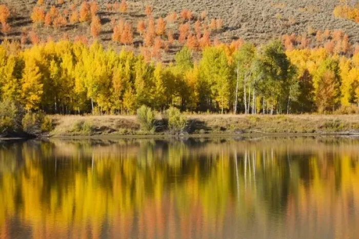 Framed Print : USA, North America, Wyoming