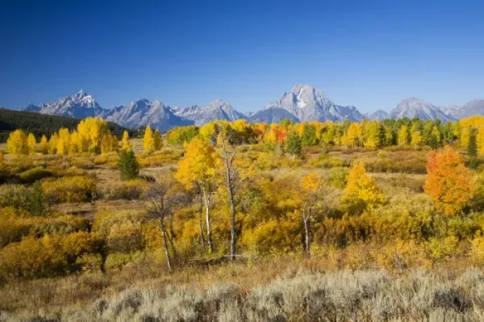 Framed Print : USA, North America, Wyoming Framed Print : USA, North America, Wyoming