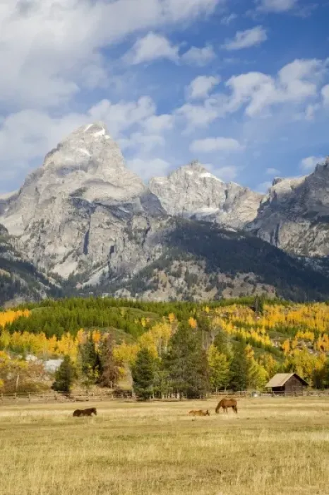 Framed Print : USA, North America, Wyoming Framed Print : USA, North America, Wyoming
