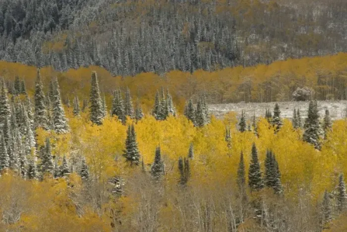 Framed Print : USA, North America, Wyoming