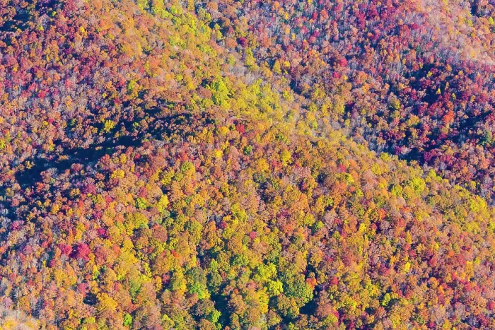 Framed Print : USA, North Carolina. Aerial fall color Appalachian Mountains
