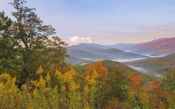 USA, North Carolina. Black Mountains overlook