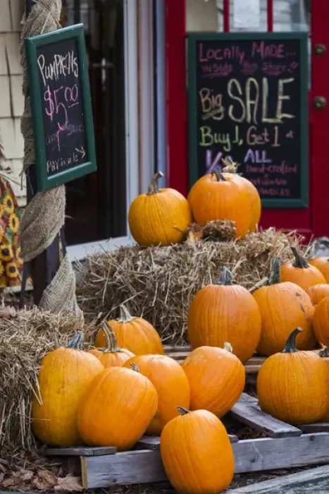 Framed Print : USA, North Carolina, Blowing Rock, pumpkins, autumn Framed Print : USA, North Carolina, Blowing Rock, pumpkins, autumn