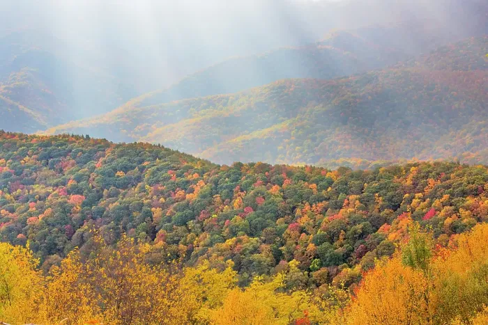 Framed Print : USA, North Carolina, Blue Ridge Parkway. Landscape overview of forested hills in autumn. ©Don Paulson / Jaynes Gallery / DanitaDelimont.com Framed Print : USA, North Carolina, Blue Ridge Parkway. Landscape overview of forested hills in autumn. ©Don Paulson / Jaynes Gallery / DanitaDelimont.com