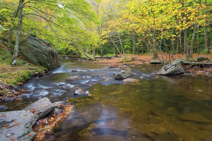Framed Print : USA, North Carolina, Blue Ridge Parkway. Landscape with stream and forest. ©Don Paulson / Jaynes Gallery / DanitaDelimont.com Framed Print : USA, North Carolina, Blue Ridge Parkway. Landscape with stream and forest. ©Don Paulson / Jaynes Gallery / DanitaDelimont.com