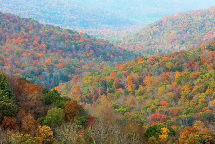 Framed Print : USA, North Carolina, Blue Ridge Parkway. Landscape overview of forested hills in autumn. ©Don Paulson  /  Jaynes Gallery  /  DanitaDelimont.com