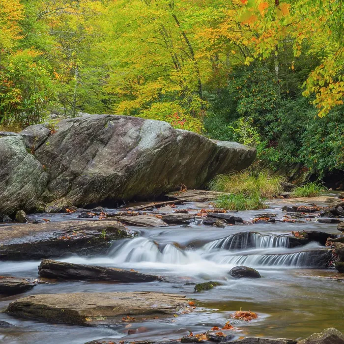 Framed Print : USA, North Carolina, Boone Fork. Forest and stream landscape. ©Don Paulson / Jaynes Gallery / DanitaDelimont.com Framed Print : USA, North Carolina, Boone Fork. Forest and stream landscape. ©Don Paulson / Jaynes Gallery / DanitaDelimont.com