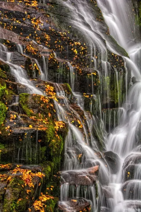 Framed Print : USA, North Carolina, Brevard. Waterfall in Dupont State Forest Framed Print : USA, North Carolina, Brevard. Waterfall in Dupont State Forest