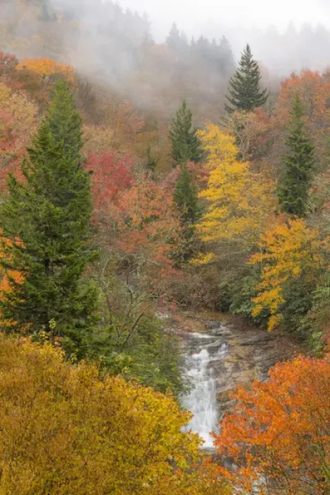 Framed Print : USA, North Carolina, Bubbling Springs Falls. Autumn scenic of the falls. Credit as Framed Print : USA, North Carolina, Bubbling Springs Falls. Autumn scenic of the falls. Credit as