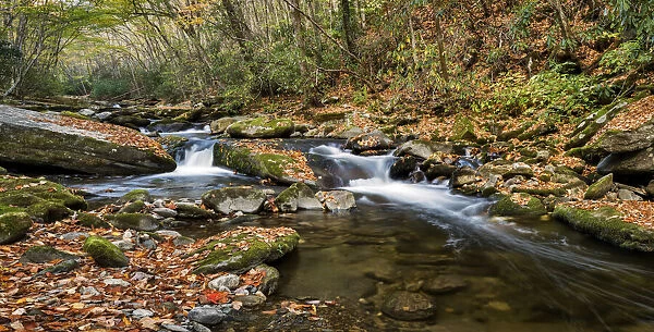 USA, North Carolina, Cherokee, Great Smoky Mountains National Park