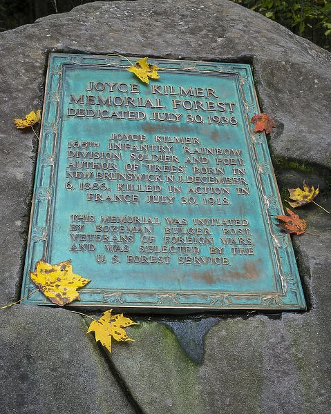 USA, North Carolina. Dedication plaque for Joyce Kilmer Memorial Forest. Credit as