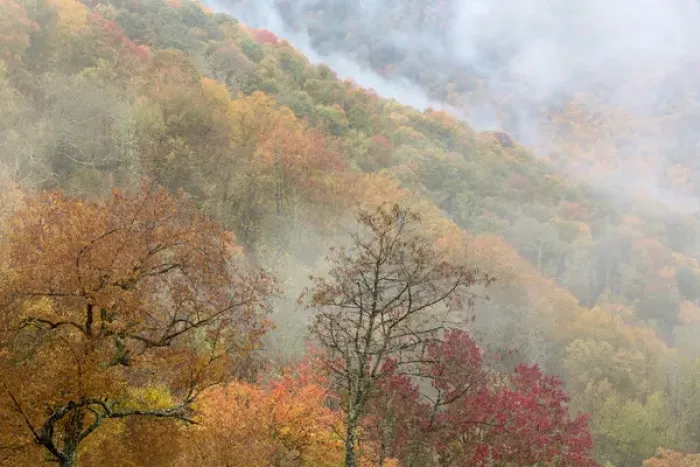 Framed Print : USA, North Carolina, Great Smoky Mountains. Autumn mountain landscape. Credit as