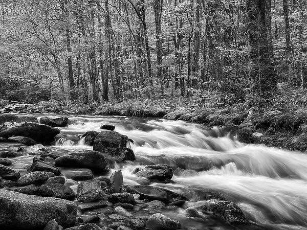 USA, North Carolina, Great Smoky Mountains National Park, Water flows at Straight