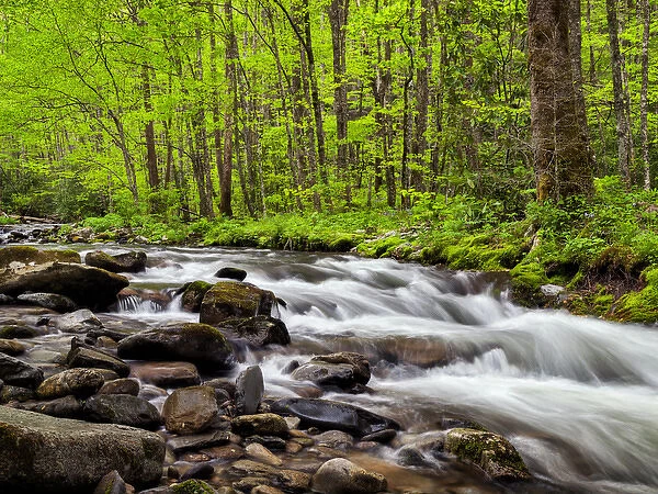 USA, North Carolina, Great Smoky Mountains National Park, Water flows at Straight