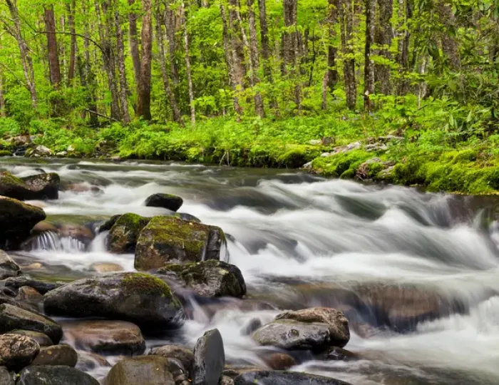 Framed Print : USA, North Carolina, Great Smoky Mountains National Park, Water flows at Straight Framed Print : USA, North Carolina, Great Smoky Mountains National Park, Water flows at Straight