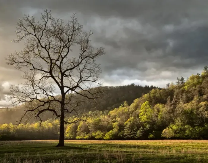 Framed Print : USA, North Carolina, Great Smoky Mountains National Park, Storm clearing at dawn Framed Print : USA, North Carolina, Great Smoky Mountains National Park, Storm clearing at dawn