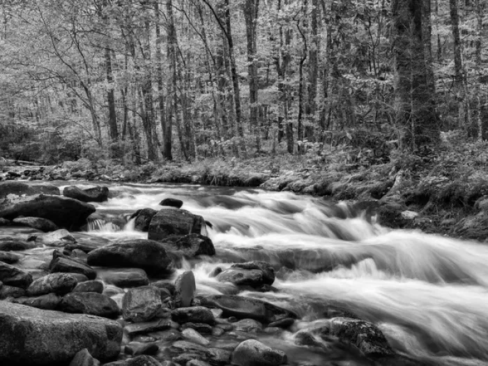 Framed Print : USA, North Carolina, Great Smoky Mountains National Park, Water flows at Straight Framed Print : USA, North Carolina, Great Smoky Mountains National Park, Water flows at Straight
