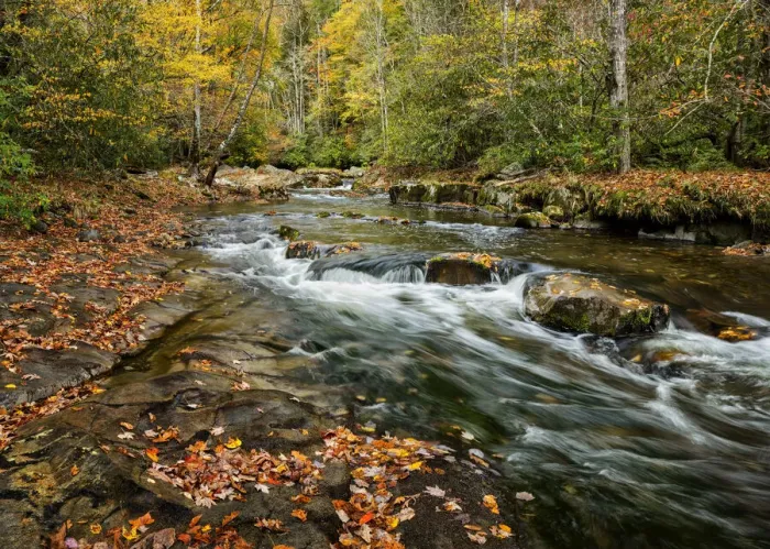 Framed Print : USA, North Carolina, Great Smoky Mountains National Park Framed Print : USA, North Carolina, Great Smoky Mountains National Park