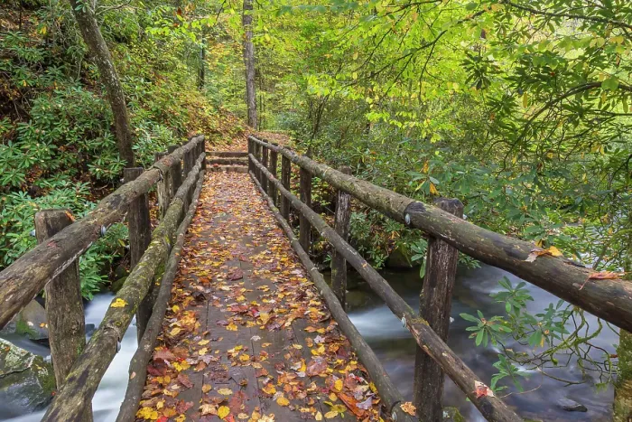 Framed Print : USA, North Carolina, Joyce Kilmer Memorial Forest. Wooden bridge over stream. ©Don Paulson  /  Jaynes Gallery  /  DanitaDelimont.com