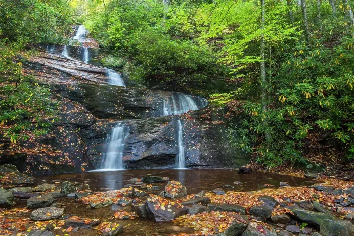 Framed Print : USA, North Carolina, Pisgah National Forest. Landscape with Setrock Creek Falls. ©Don Paulson / Jaynes Gallery / DanitaDelimont.com Framed Print : USA, North Carolina, Pisgah National Forest. Landscape with Setrock Creek Falls. ©Don Paulson / Jaynes Gallery / DanitaDelimont.com