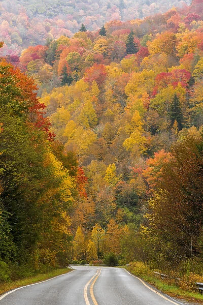 USA, North Carolina. Road through autumn-colored forest