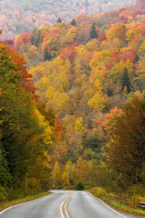 Framed Print : USA, North Carolina. Road through autumn-colored forest Framed Print : USA, North Carolina. Road through autumn-colored forest