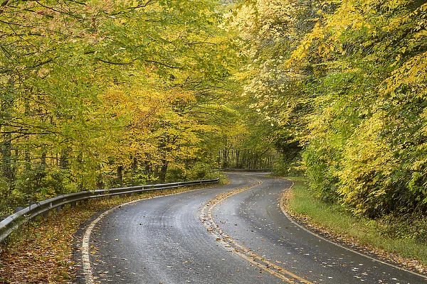 USA, North Carolina. Road through autumn-colored forest