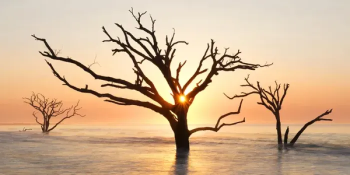 Framed Print : USA, North Carolina. Sunrise at Botany Bay Plantation Heritage Preserve. Credit as Framed Print : USA, North Carolina. Sunrise at Botany Bay Plantation Heritage Preserve. Credit as