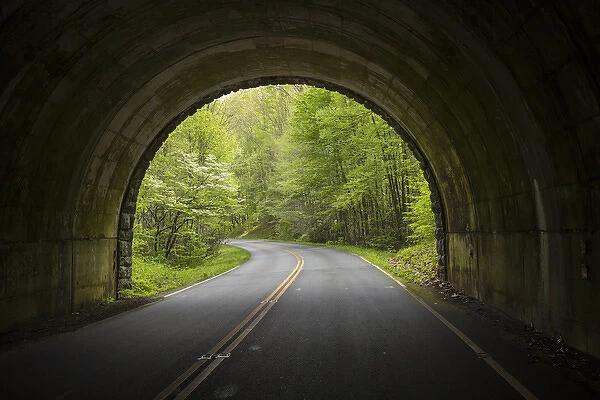 USA, North Carolina. Tunnel on the Blue Ridge Parkway