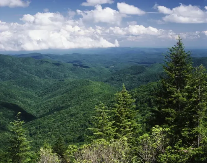 Framed Print : USA, North Carolina, View of Pisgah National Forest