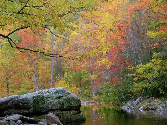 Framed Print : USA, North Carolina, West Fork Pigeon River. Autumn landscape with river and forest. ©Don Paulson / Jaynes Gallery / DanitaDelimont.com Framed Print : USA, North Carolina, West Fork Pigeon River. Autumn landscape with river and forest. ©Don Paulson / Jaynes Gallery / DanitaDelimont.com