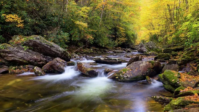 Framed Print : USA, North Carolina. West Fork Pigeon River and forest landscape. ©Don Paulson  /  Jaynes Gallery  /  DanitaDelimont.com