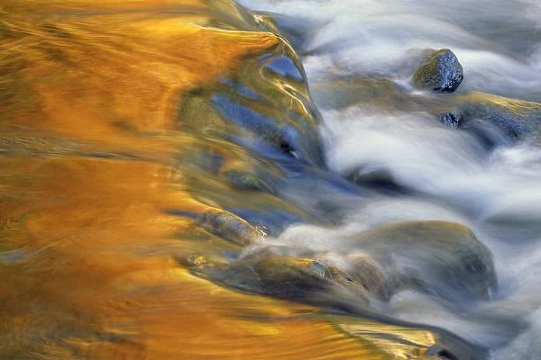 USA, Northeast, Fall color reflections on stream rapids