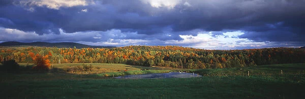 USA, Northeast Kingdom, Vermont, Eden, View of field