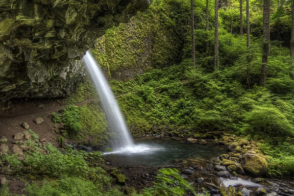 USA, OR, Columbia River Gorge. Ponytail Falls. HDR