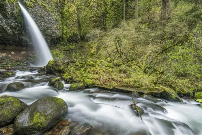 Framed Print : USA, OR, Columbia River Gorge, Ponytail Falls Framed Print : USA, OR, Columbia River Gorge, Ponytail Falls