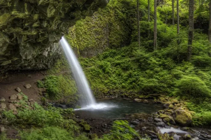 Framed Print : USA, OR, Columbia River Gorge. Ponytail Falls. HDR